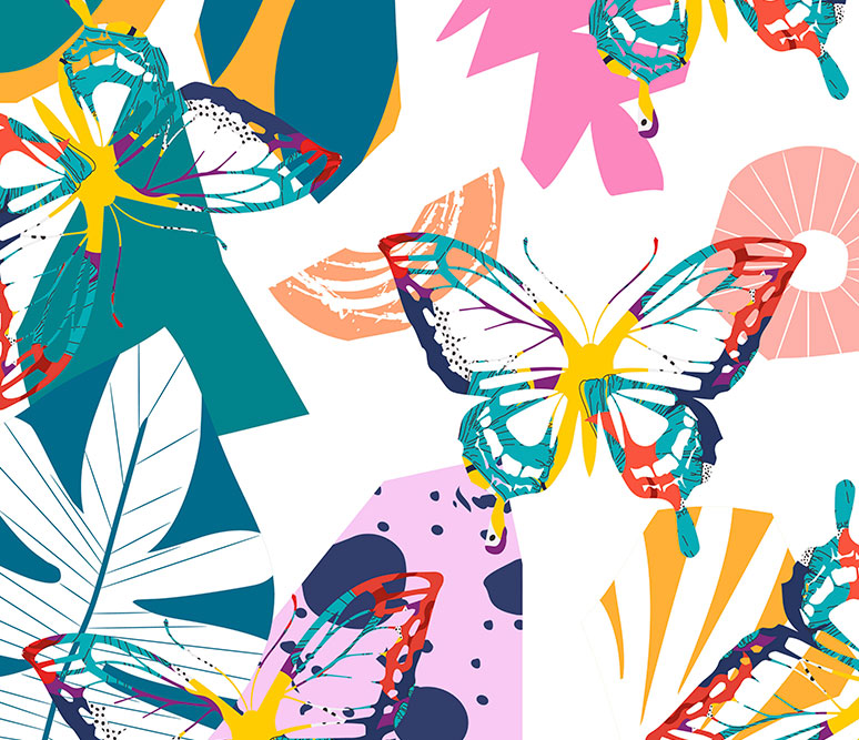 butterflies butterflies